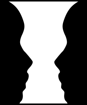 vase or faces optical illusion