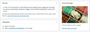 screenshot of WordPress excerpt, discussion, and featured image boxes