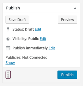 screenshot of WordPress Publish box on draft post or page