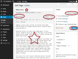 screenshot of WordPress page editing window with published page