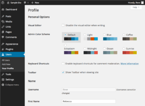 screenshot of WordPress user profile page