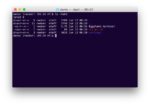 Terminal window with Eggplant theme and prompt with git branch