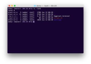 Terminal window with Eggplant theme and prompt with git branch